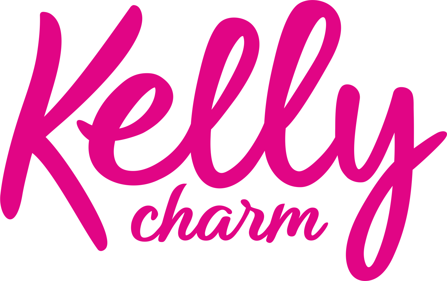 Kelly charm